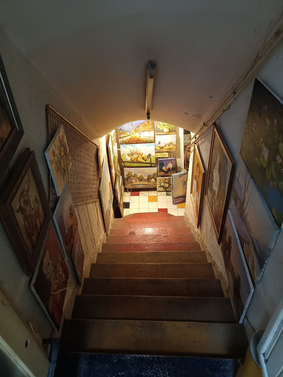lokal - NOVI SAD - CENTAR - 8080210