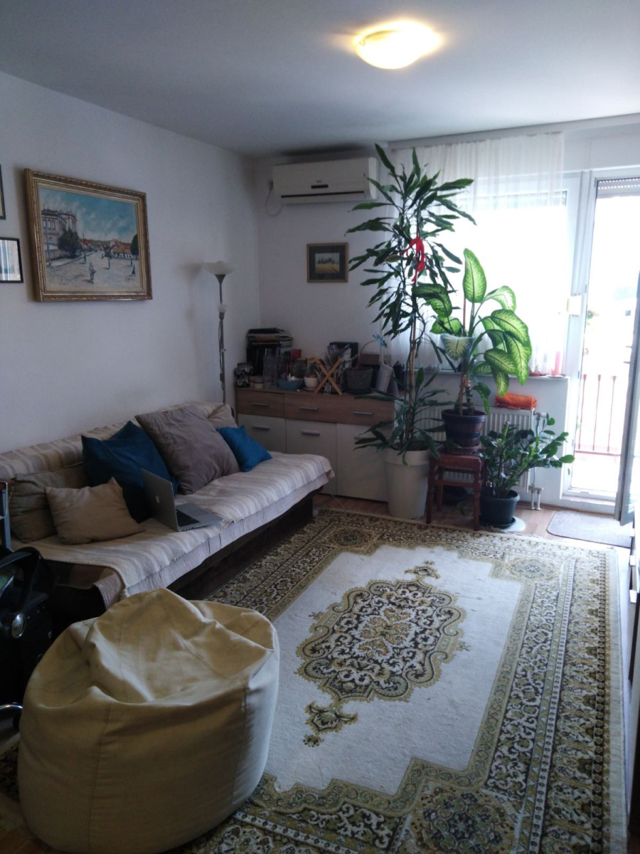 stan NOVI SAD - NOVA DETELINARA - 1057709