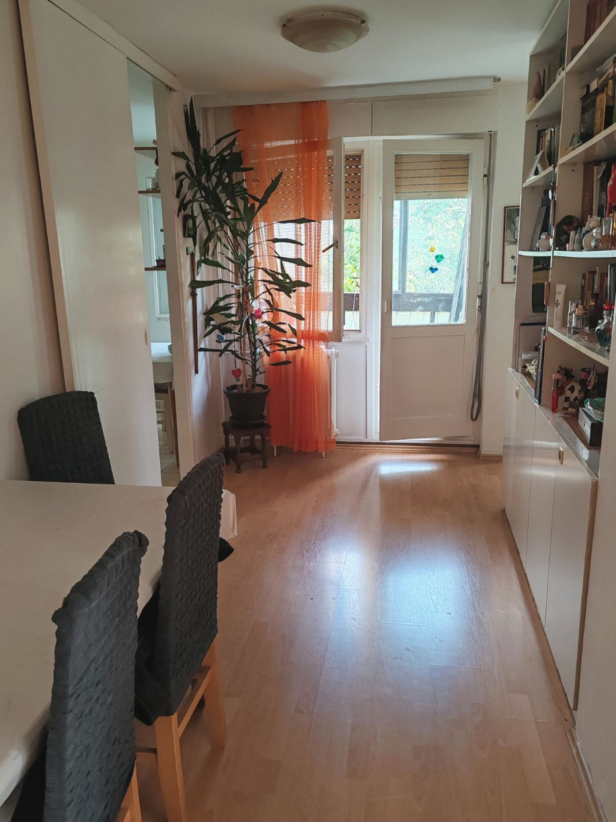 stan NOVI SAD - LIMAN 3 - 1057868