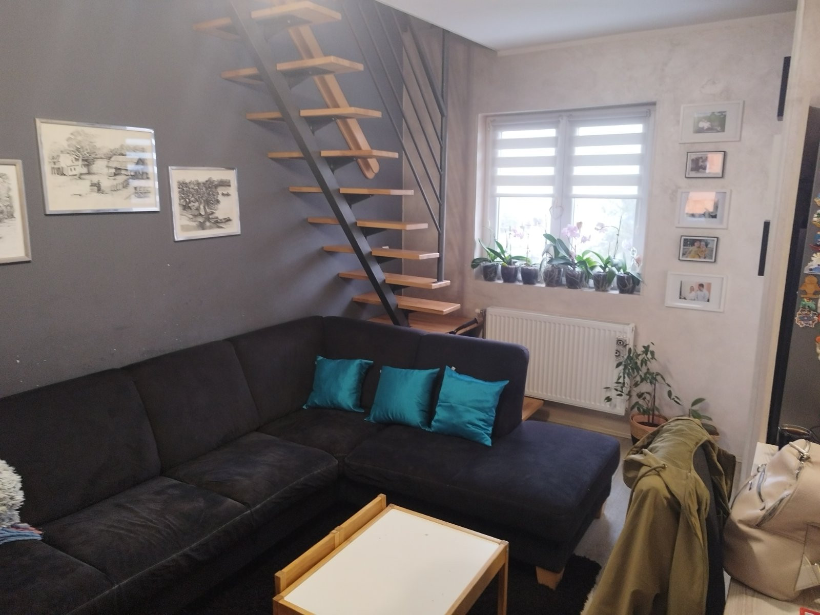 stan NOVI SAD - ADICE - 1058216