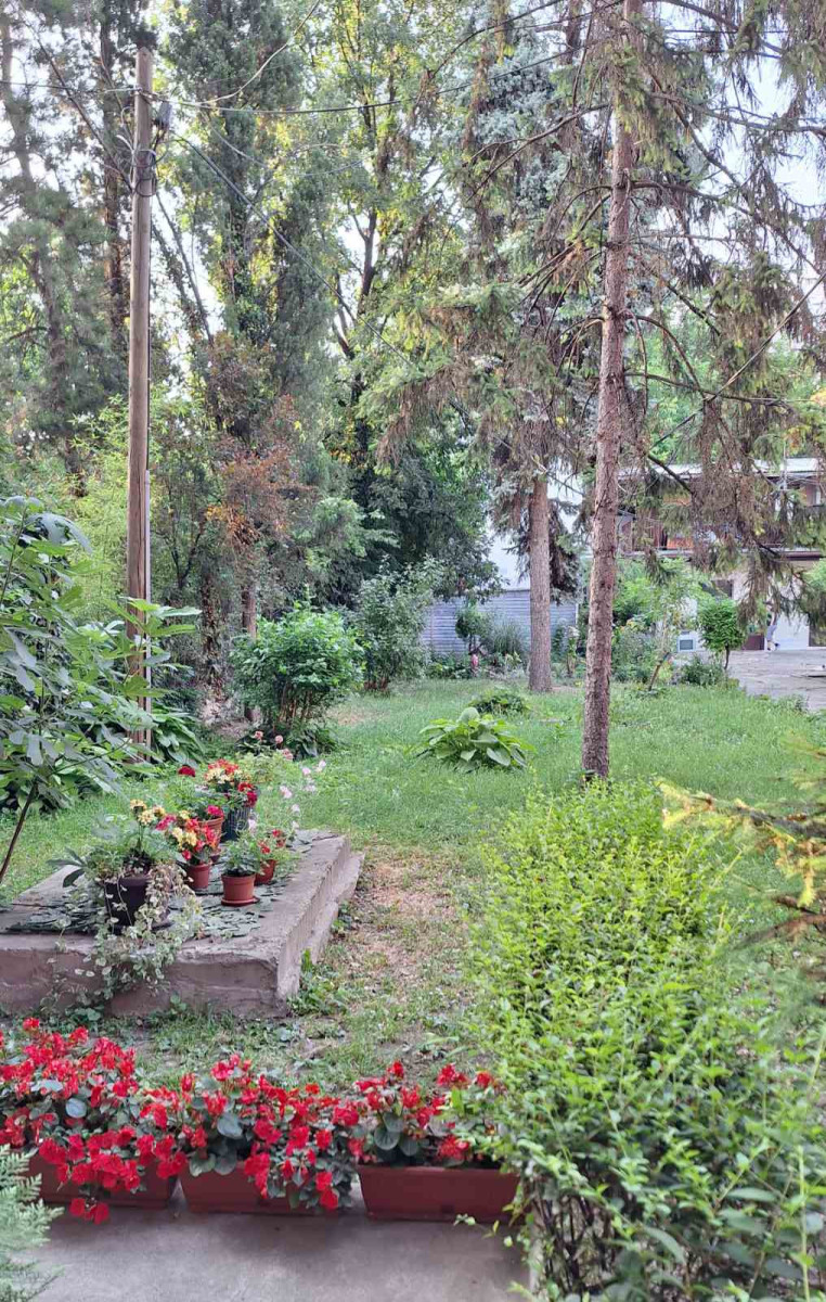 stan NOVI SAD - CENTAR - 1058686