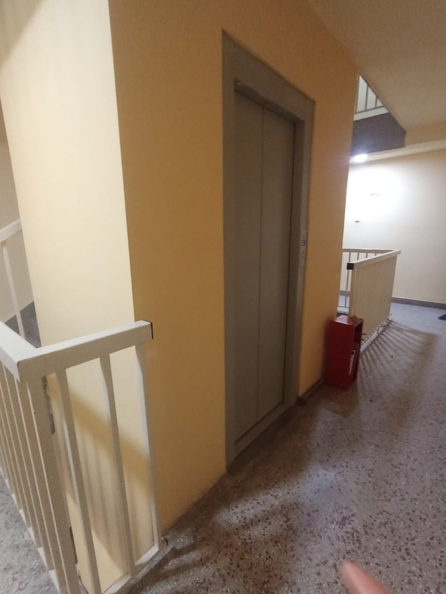 stan NOVI SAD - STARA DETELINARA - 1058696